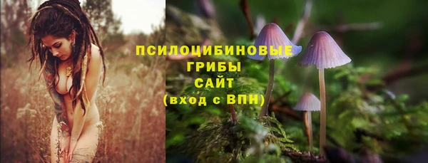 хмурый Карталы