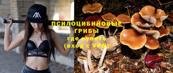 соль курить ск Карпинск