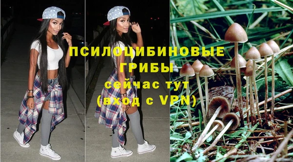 не бодяженный Касимов