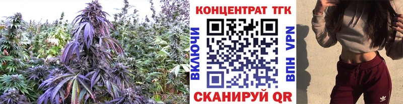 Купить закладки  Пермь  ТГК Wax 