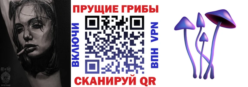 Купить закладки Пермь Псилоцибиновые грибы прущие грибы